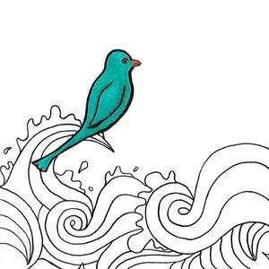 纾茗的十八岁生日礼物
